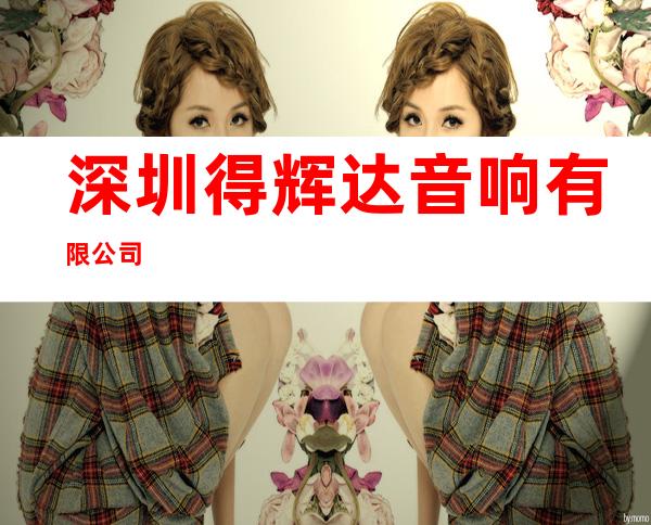 深圳得辉达音响有限公司